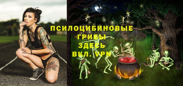 бошки Михайловск