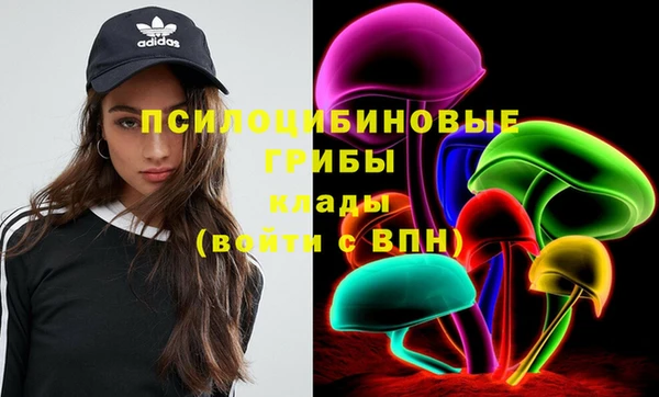бошки Михайловск