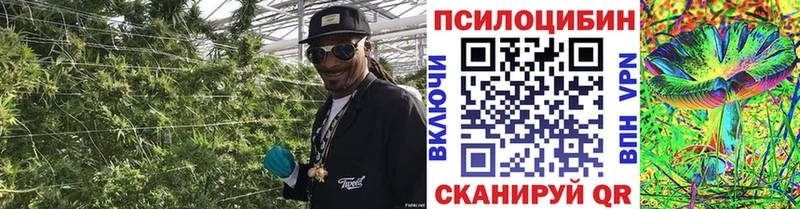 Галлюциногенные грибы GOLDEN TEACHER  где продают наркотики  Питкяранта 